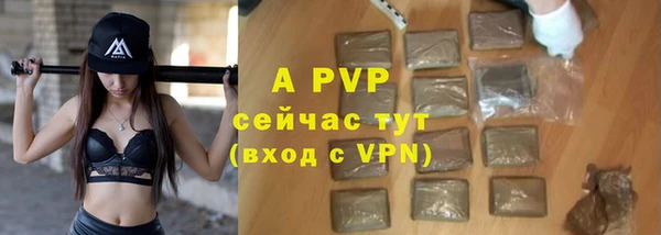ешки Алексин